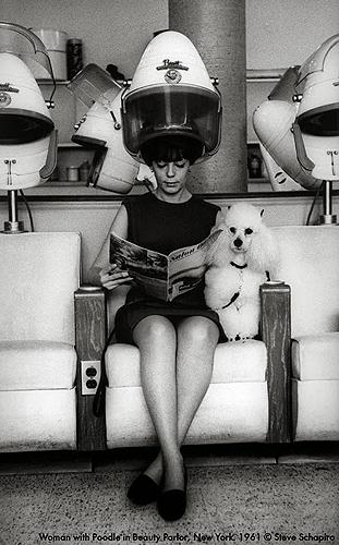 Steve Schapiro Woman and Poodle at Beauty Parlor, New York, 1964 