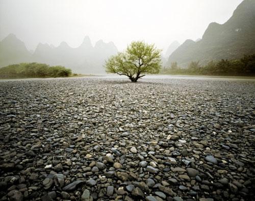 Lone Tree, Guilin, China<br/>20 x 24<br/>