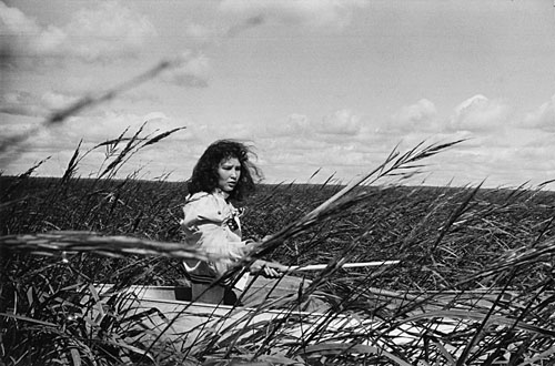 Obja Girl gathers rice, North Minnesota, 1964