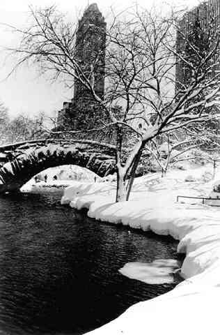Central Park After A Snowstorm, New York, 1959 Gelatin Silver print