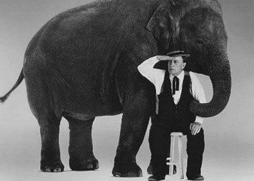Photo: Buster Keaton, "What Elephant?" Gelatin Silver print #1572
