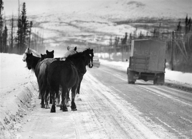 Alaska, 1959;