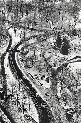 Winter's Etching, Central Park, New York City<br/>