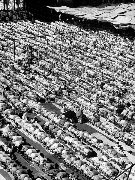 Muslims gather in Delhi at Jami' Masjod, India's largest mosque, 1946<br/>