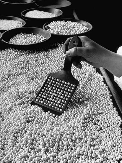 Counting Pearls in the Mikimoto Cultured Pearl Factory, Japan, 1946 Gelatin Silver print