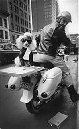Motorcycle and Poodle, New York, 1964<br/>
