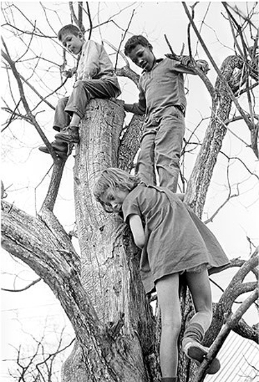 Peggy, Sidney and Donald in Tree, 1965