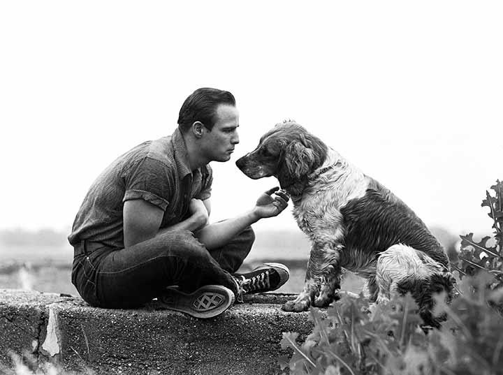 Marlon Brando and family dog, Libertyville, Illinois, 1950<br/>
