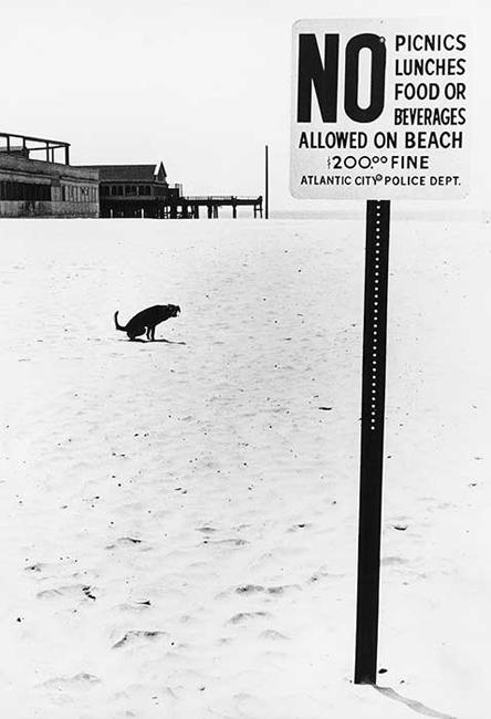 "No Dog on Beach", New Jersey, 1975<br/>