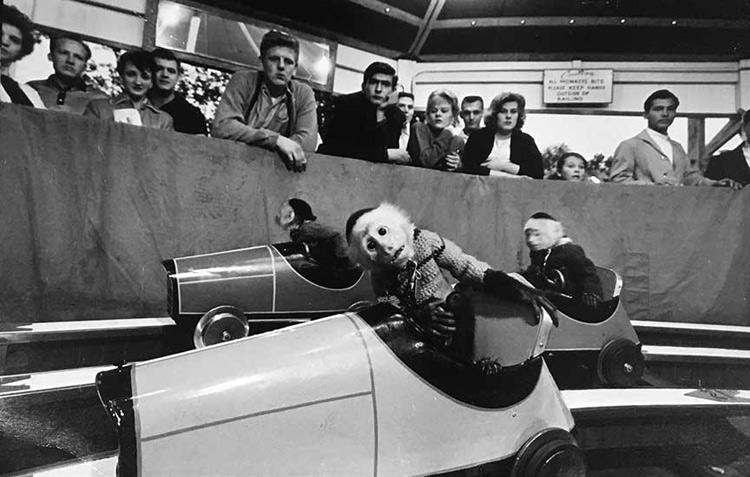 Racing Monkeys. 1954<br/>