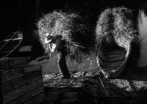 Farmer with Hay, Rhine River, 1947 Archival Pigment Print