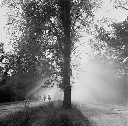 Road at Dawn, Luxembourg, 1947