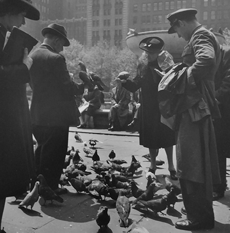 Feeding Pigeons, New York