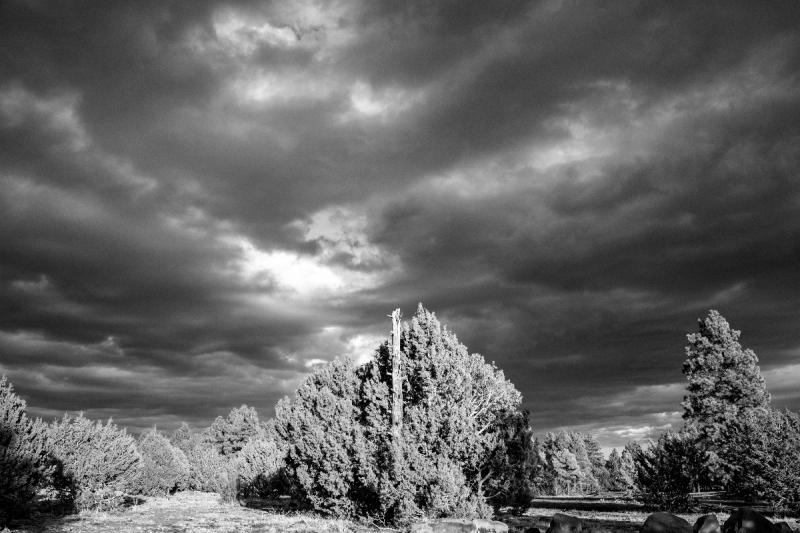 Photo: Dark Sky, Arizona, 2021 Archival Pigment Print #2495