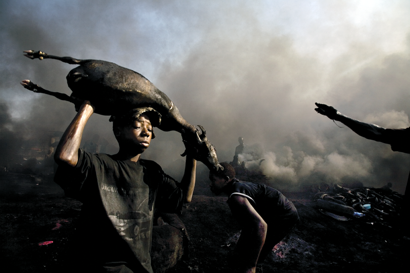 The carcasses of freshly killed goats are roasted by the flames of burning tires at the Trans Amadi Slaughter, the largest abattoir in the Niger Delta. 2006 Archival Pigment Print