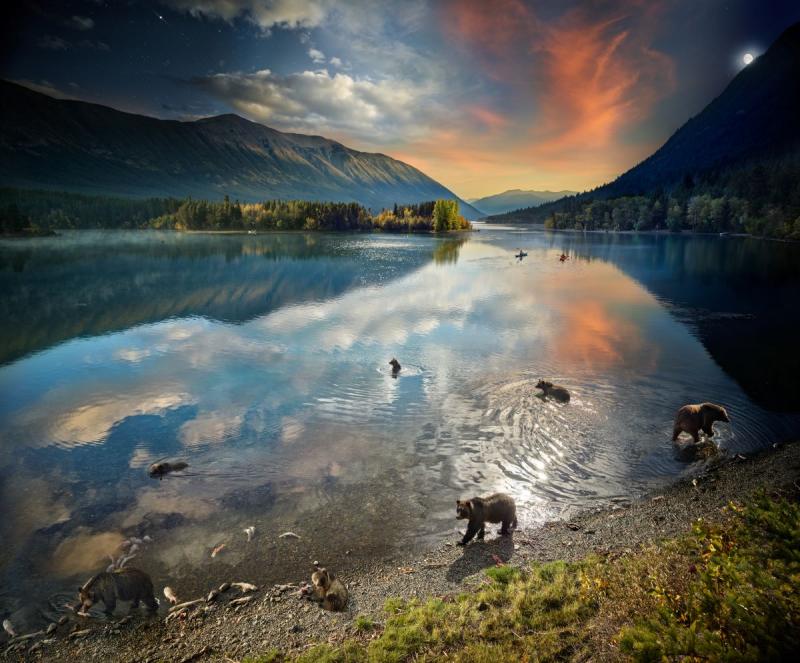  Grizzly Bears, Chilko Lake, B.C, Day to Night2022<br/>Please contact Gallery for price