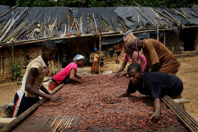Cocoa bean farmers, Ghana, 2016<br/>Please contact Gallery for price