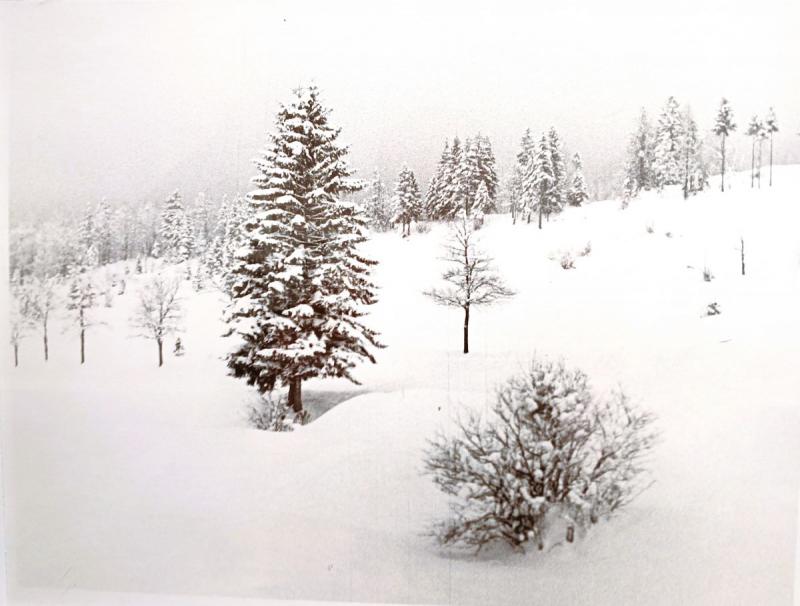 Alfred Eisenstaedt Winter scene near Sestriere, Italian Alps, 1934 Please contact Gallery for price