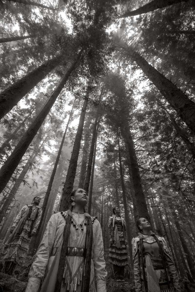 Protect The Sacred, Redwoods<br/>Please contact Gallery for price