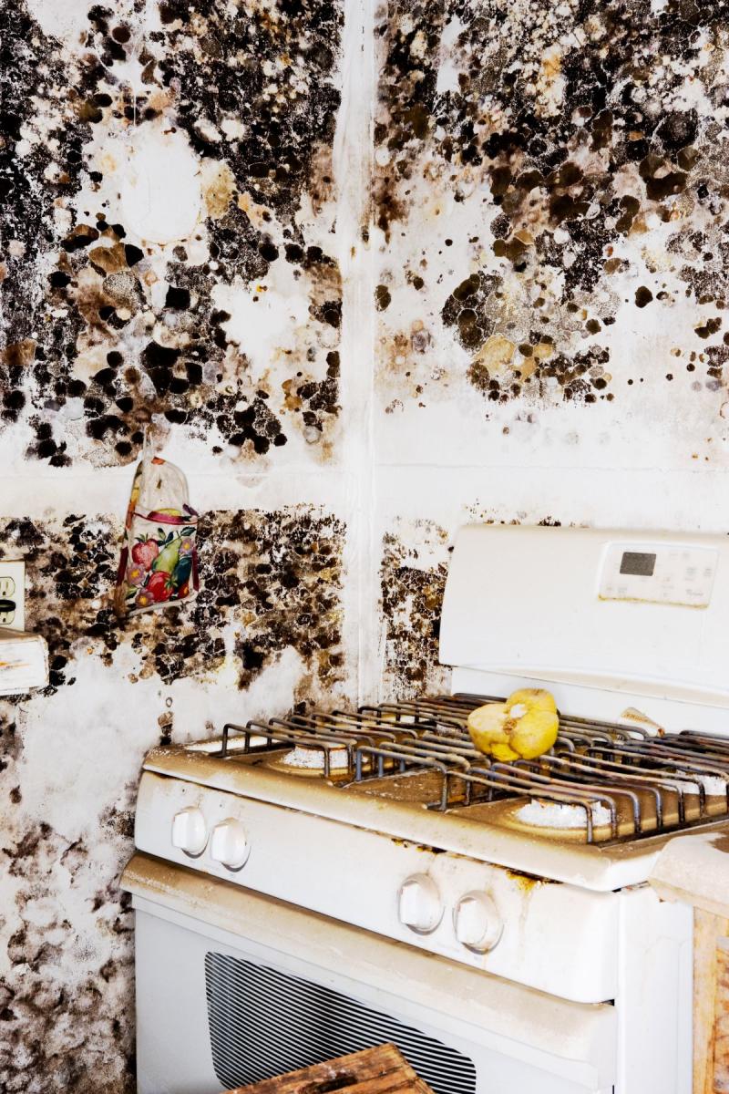 Stephen Wilkes Hurricane Katrina: Stove in mold infested kitchen<br/>Please contact Gallery for price