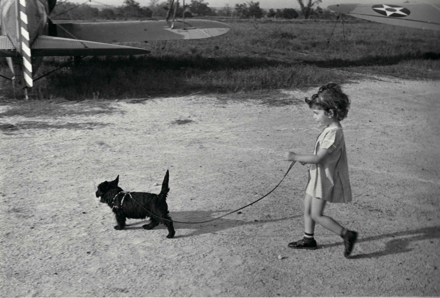 Little Girl Walking Little Black Dog