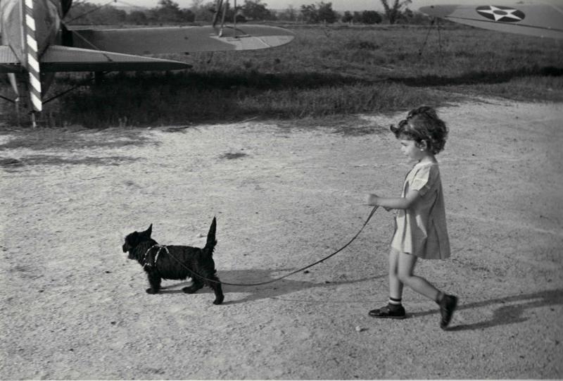 Photo: Little Girl Walking Little Black Dog Gelatin Silver print #3141