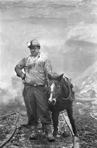 Photo: Coal Miner, West Virginia, 1969 Vintage Gelatin Silver Print #374