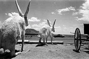 New Mexico, 1952