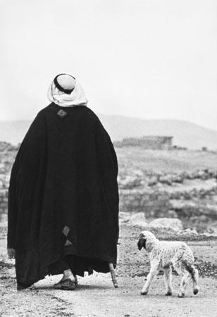 Photo: Shepherd, Bethlehem, 1970 Vintage Gelatin Silver Print #808